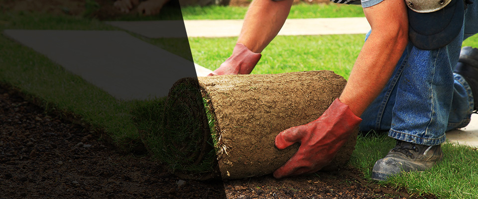 Farmingdale Landscapers